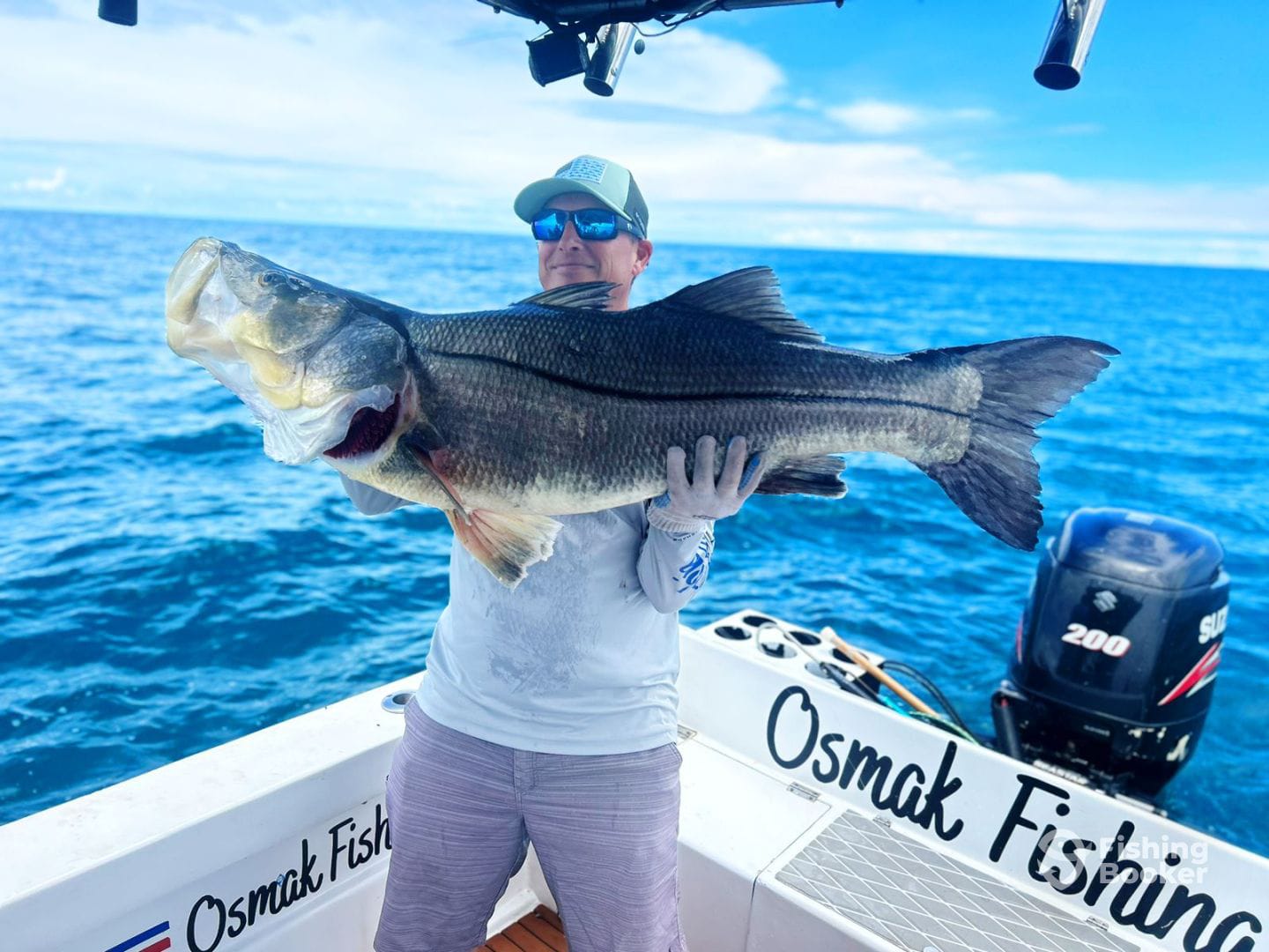 Snook